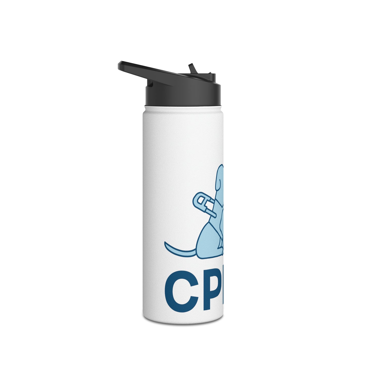 Stainless Steel Water Bottle, Standard Lid